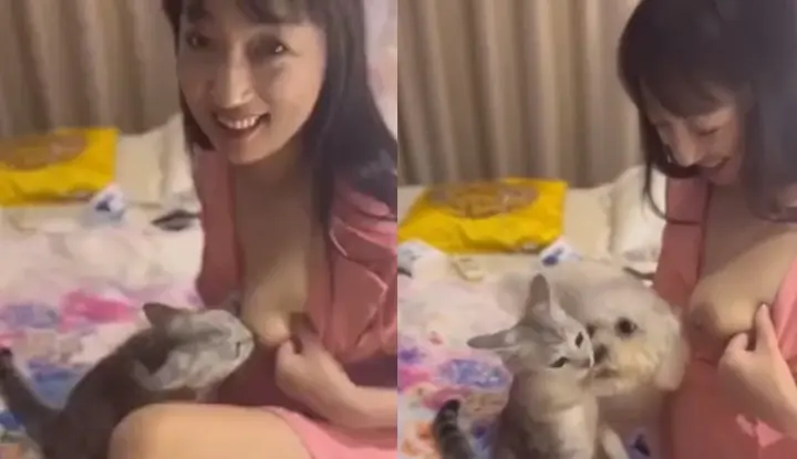 The scandal was exposed on the Internet ~ A young mother fed her kitten human milk!