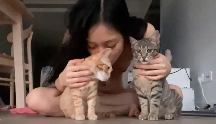 [亞裔] O站大神 eskyperry，你喜歡哪一隻小貓咪呢